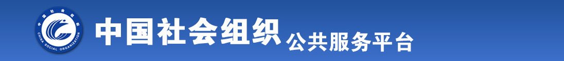 插BB黄色全国社会组织信息查询